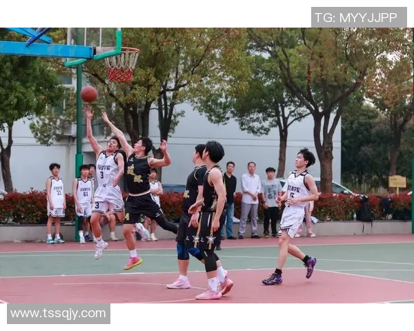 以篮球为纽带探讨团队合作精神与青年成长动力的深度关系