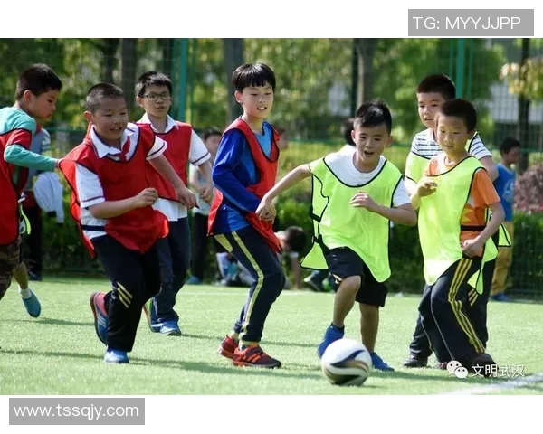 天津津门虎奋勇争先打造足球强队 引领足球改革新篇章