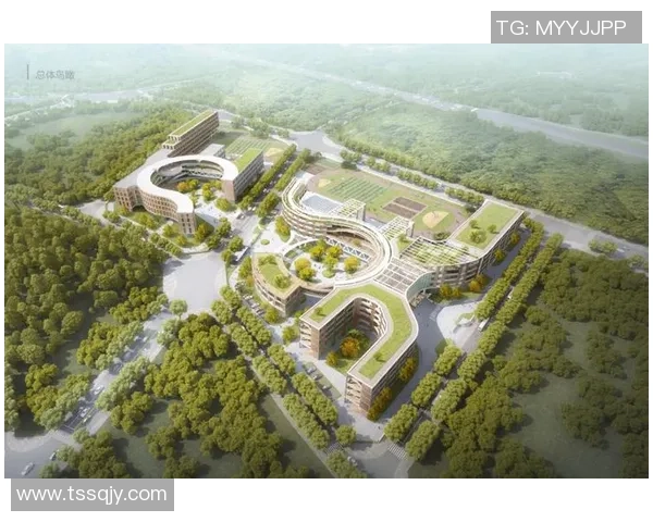 探索体育运动的多样性与挑战推动健康生活方式的无限可能