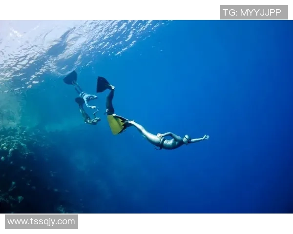 跳水运动的魅力与挑战：探索技术、心理与训练背后的故事